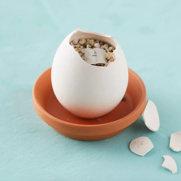 Anthropologie | NWT Eggling Grow Kits, Set of 3 - Picture 5 of 14